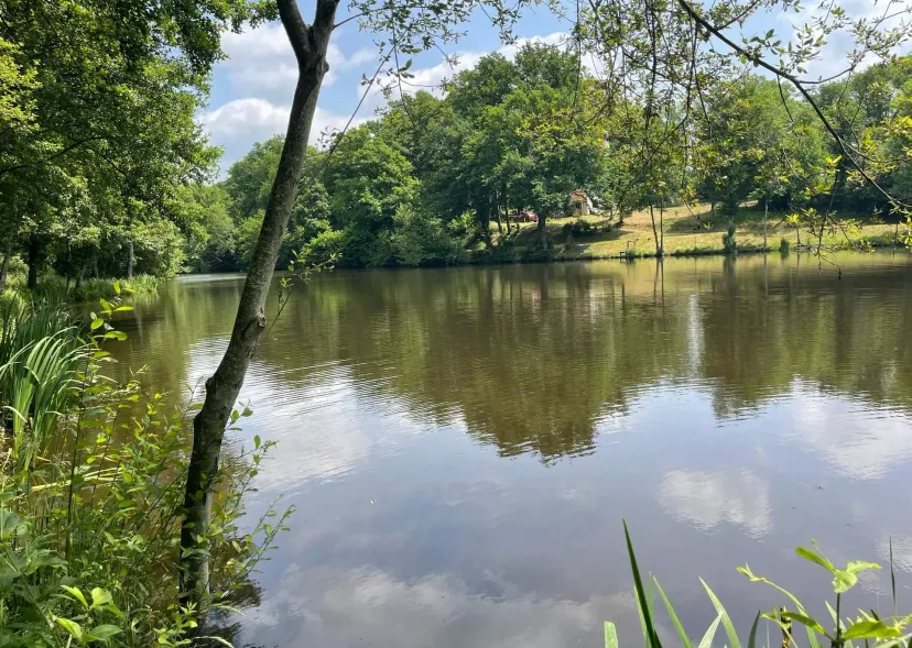 Two 4.94 ac private ponds on a 14.83 ac wooded estate