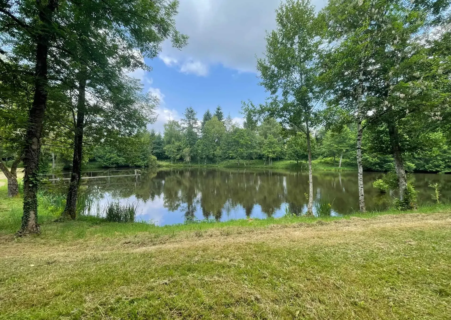 Two 4.94 ac private ponds on a 14.83 ac wooded estate