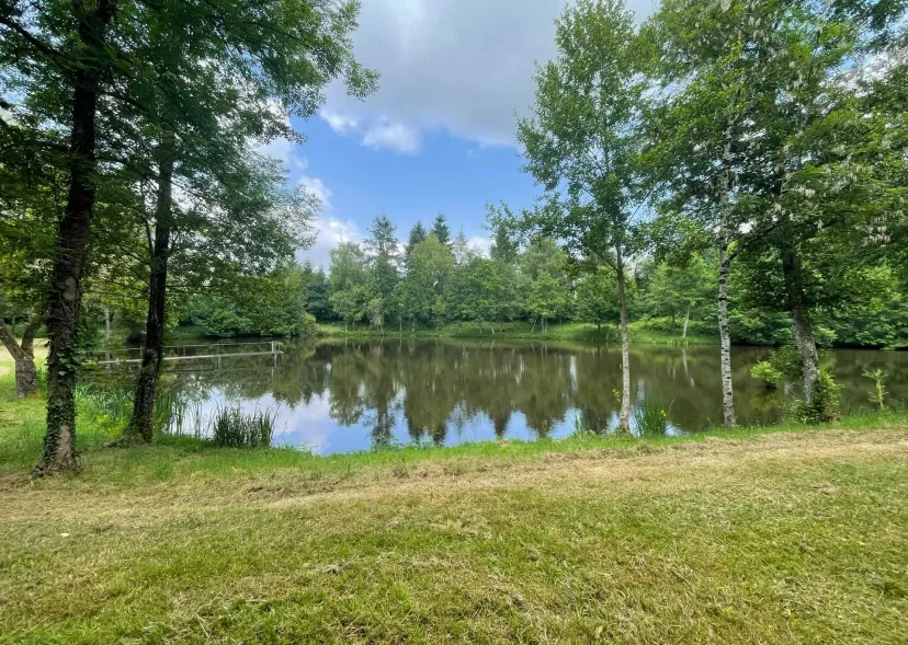 Two 4.94 ac private ponds on a 14.83 ac wooded estate