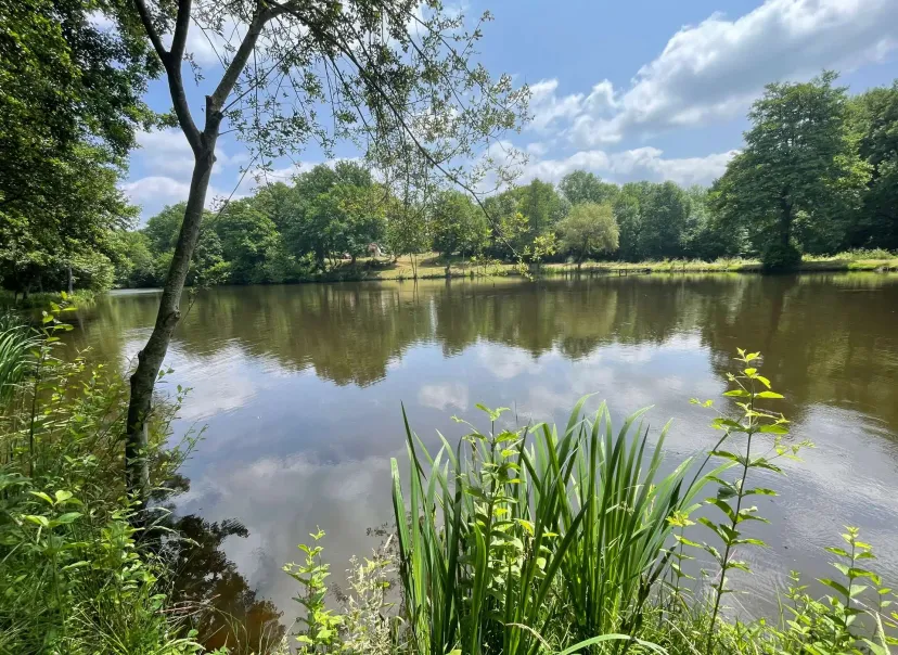 Two 4.94 ac private ponds on a 14.83 ac wooded estate