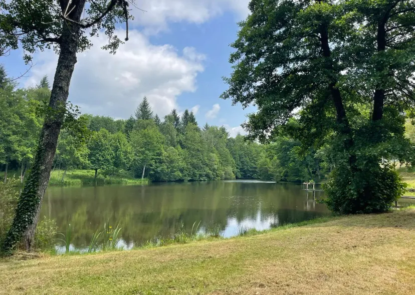 Two 4.94 ac private ponds on a 14.83 ac wooded estate