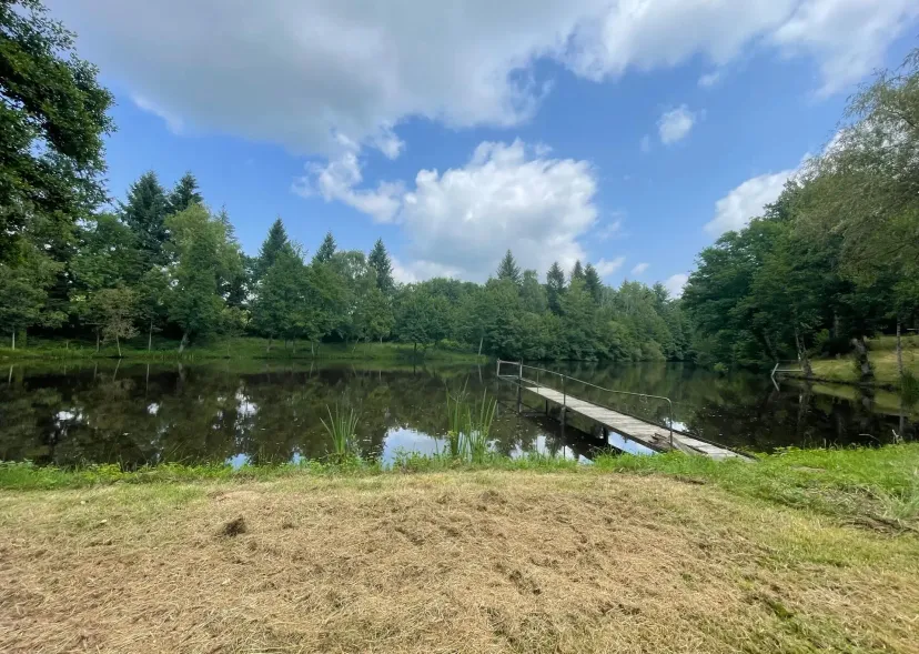 Two 4.94 ac private ponds on a 14.83 ac wooded estate