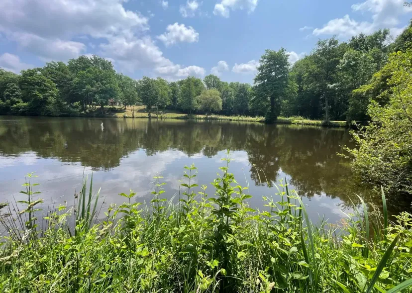 Two 4.94 ac private ponds on a 14.83 ac wooded estate
