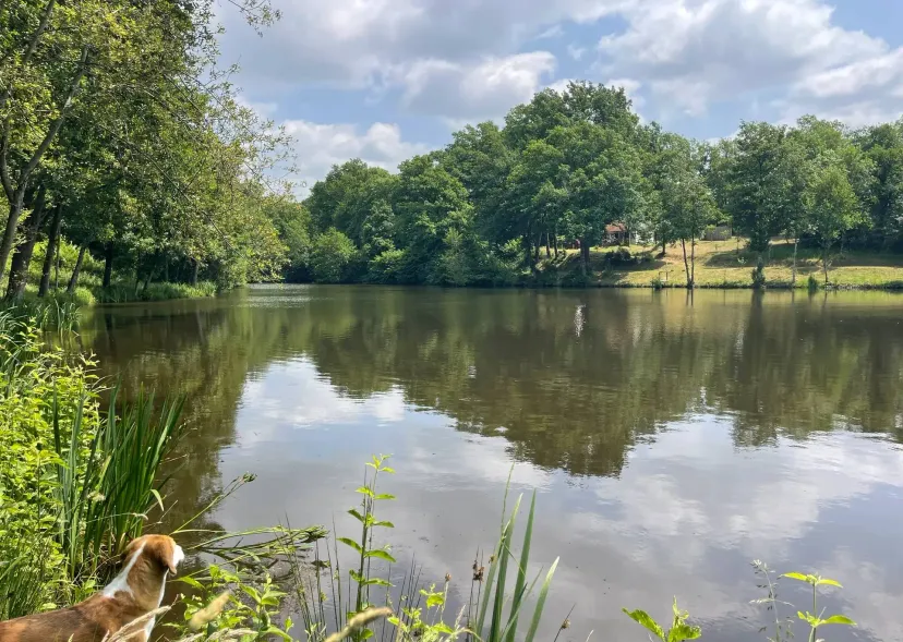 Two 4.94 ac private ponds on a 14.83 ac wooded estate