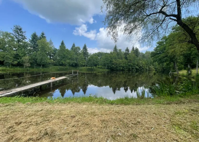 Two 4.94 ac private ponds on a 14.83 ac wooded estate