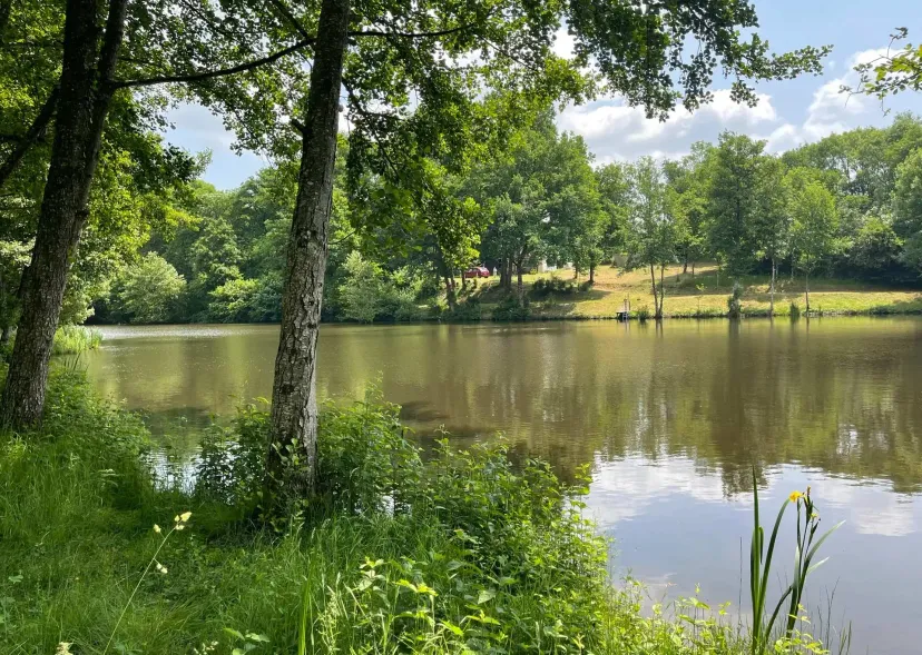 Two 4.94 ac private ponds on a 14.83 ac wooded estate