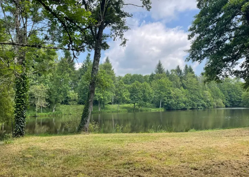 Two 4.94 ac private ponds on a 14.83 ac wooded estate