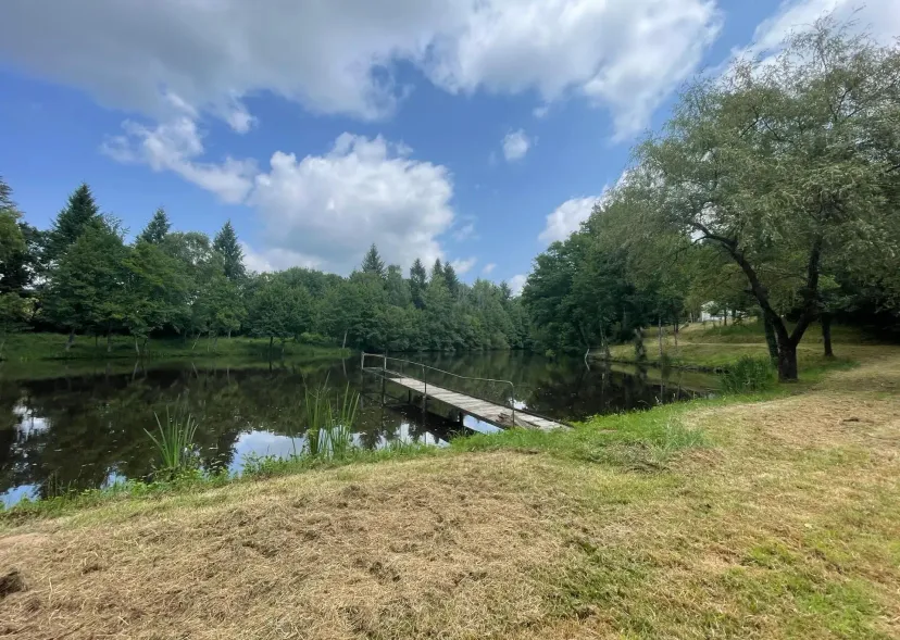 Two 4.94 ac private ponds on a 14.83 ac wooded estate
