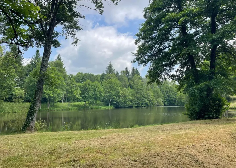 Two 4.94 ac private ponds on a 14.83 ac wooded estate