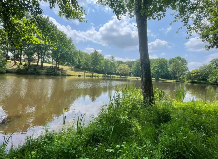 Two 4.94 ac private ponds on a 14.83 ac wooded estate