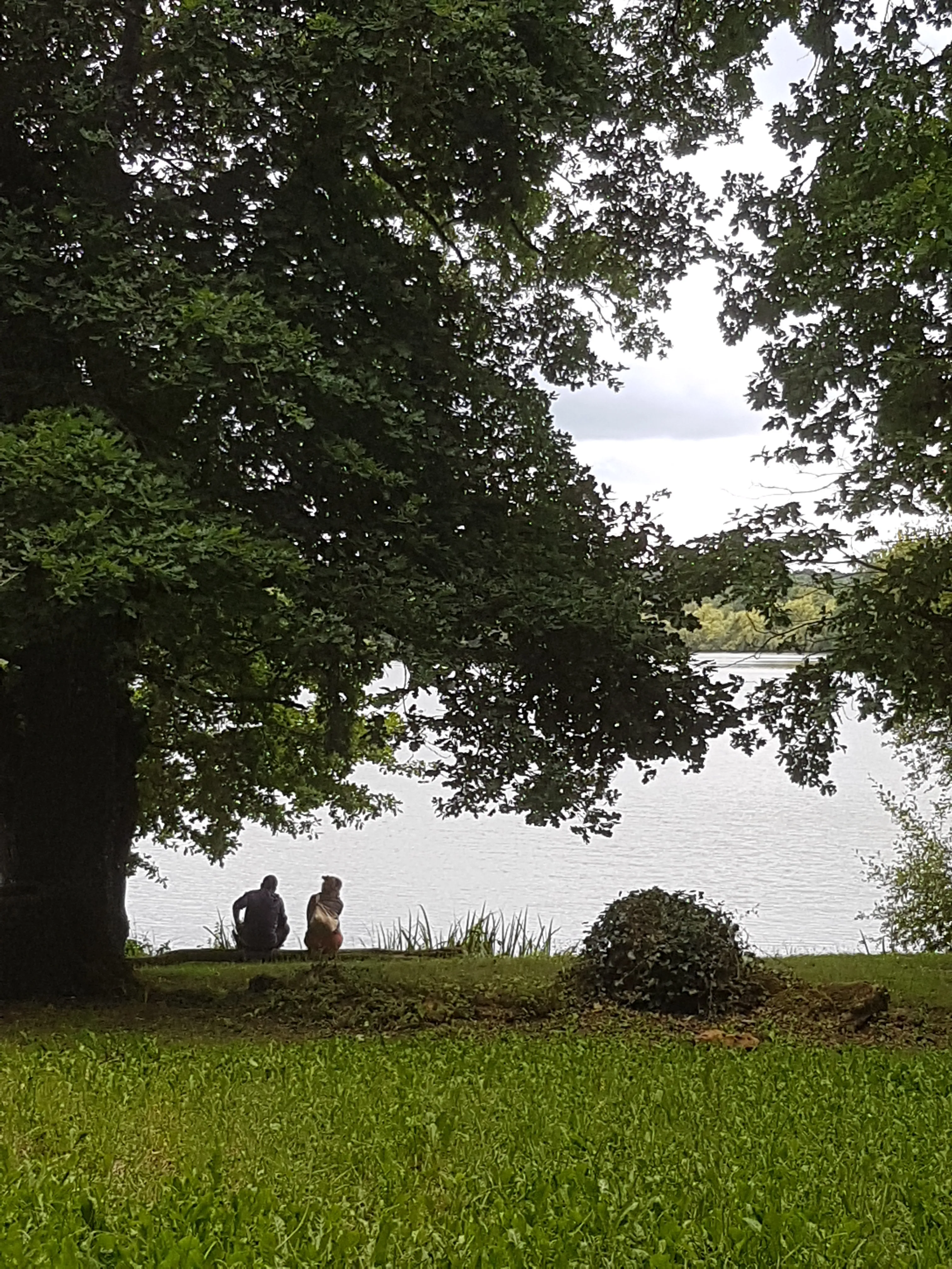 Mobil home pour 4 personnes au bord d'un lac de 21ha - En Aveyron