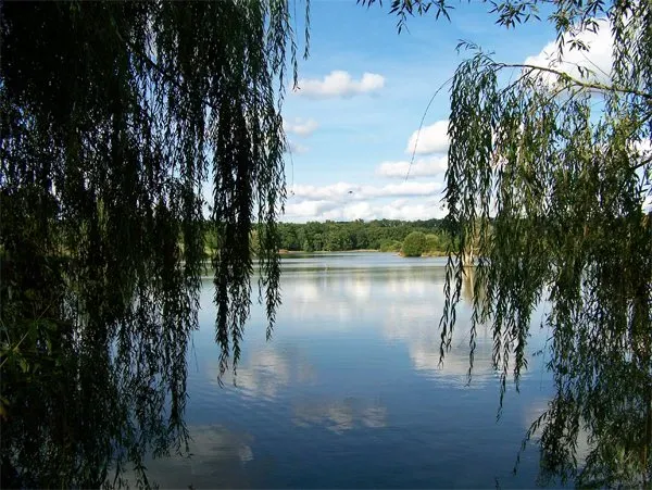 Mobil home pour 4 personnes au bord d'un lac de 21ha - En Aveyron