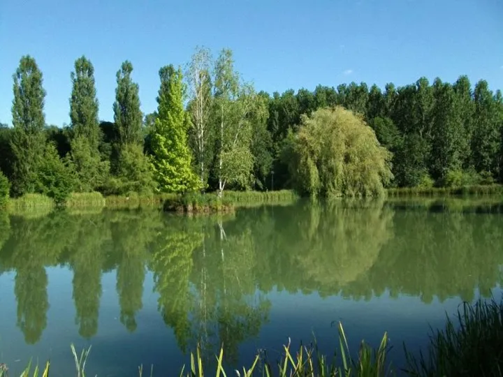 Séjour nature en gîte : Étang privé, Piscine et loisirs pour tous
