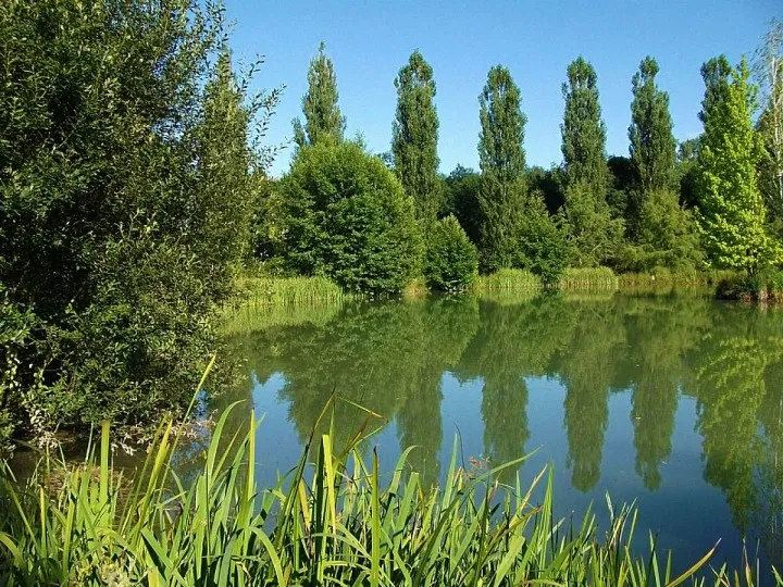 Votre havre de paix : Gîte 4-6 pers. avec étang de 5000m² et piscine en Périgord