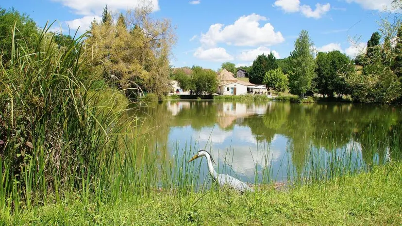 Chambre d'hôtes bleue avec étang de 5000m² en Périgord