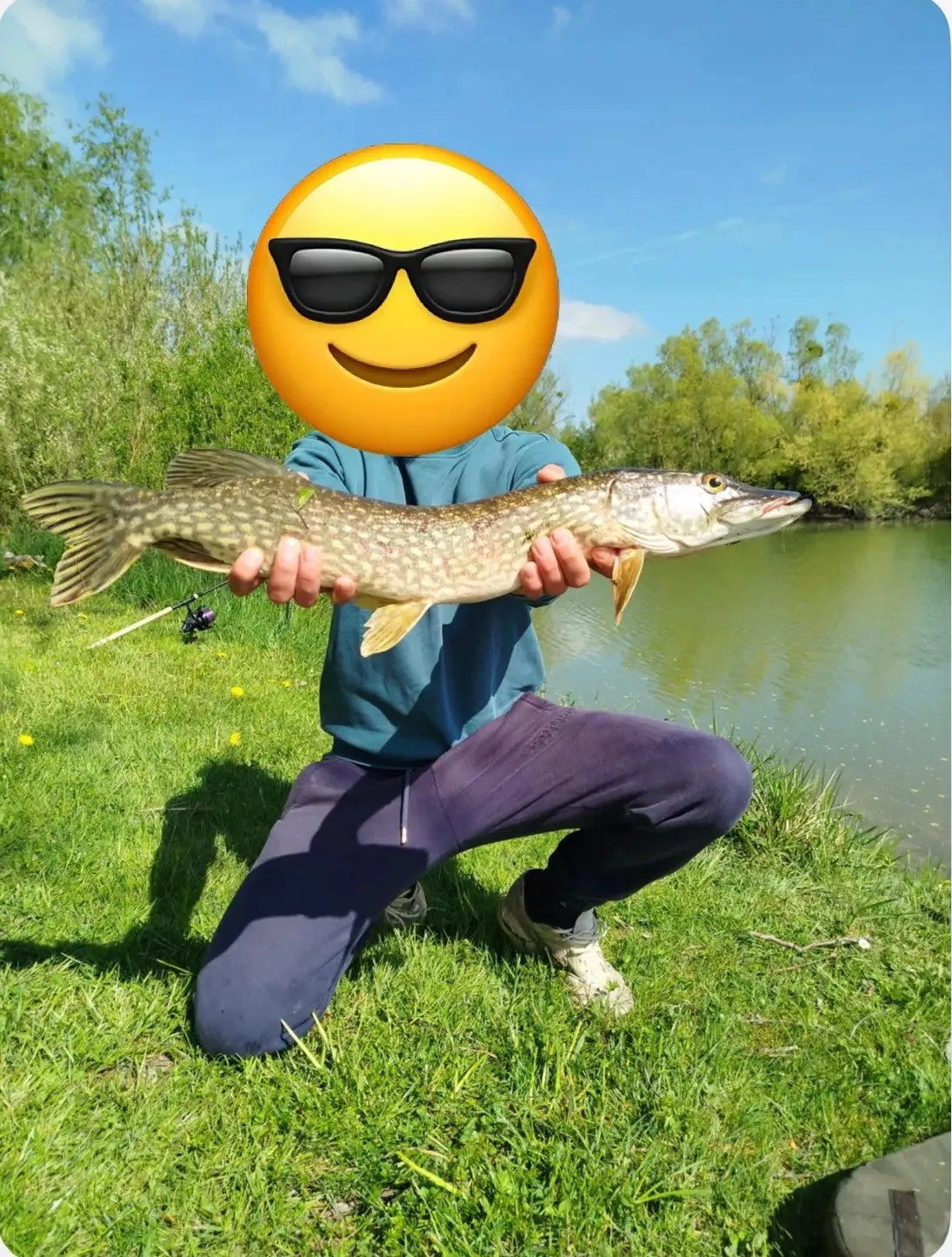 Étang de pêche privé – Carpes/Brochets/Black Bass – Région Grand Est