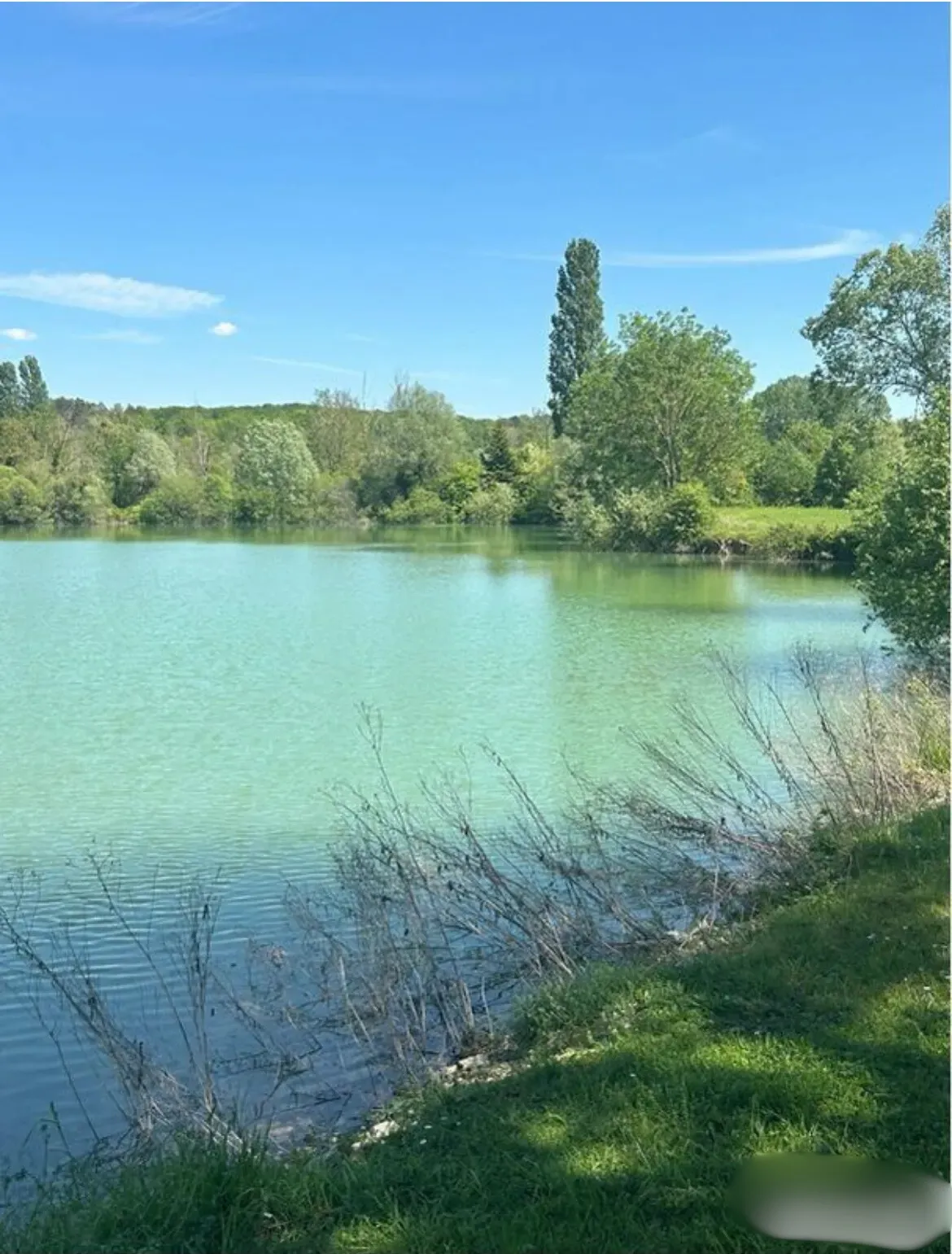 Étang de pêche privé – Carpes/Brochets/Black Bass – Région Grand Est