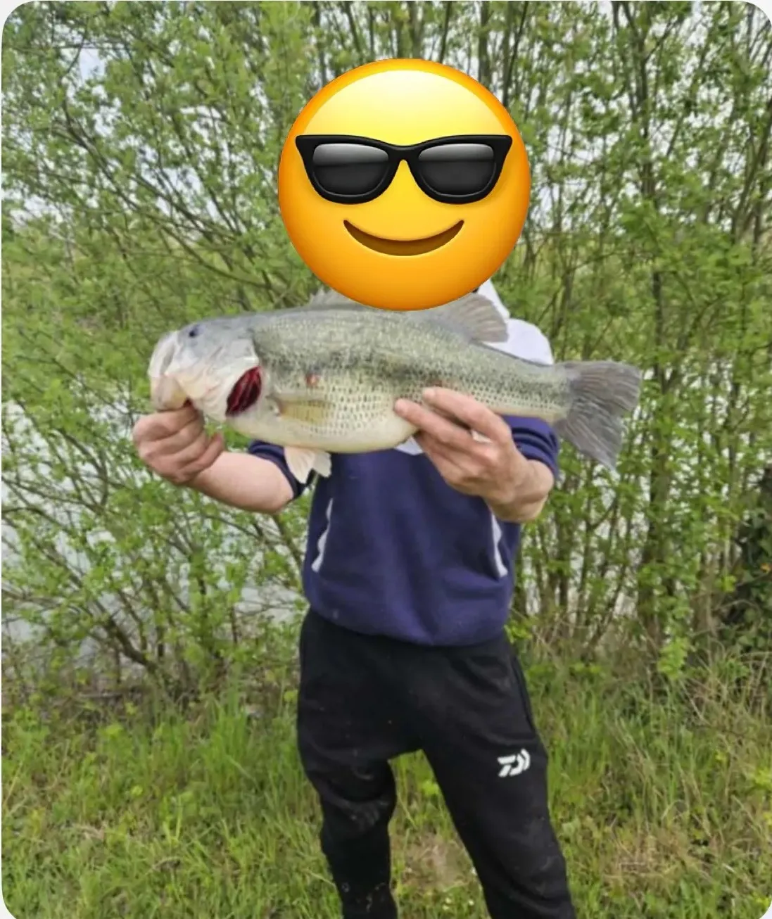 Étang de pêche privé – Carpes/Brochets/Black Bass – Région Grand Est