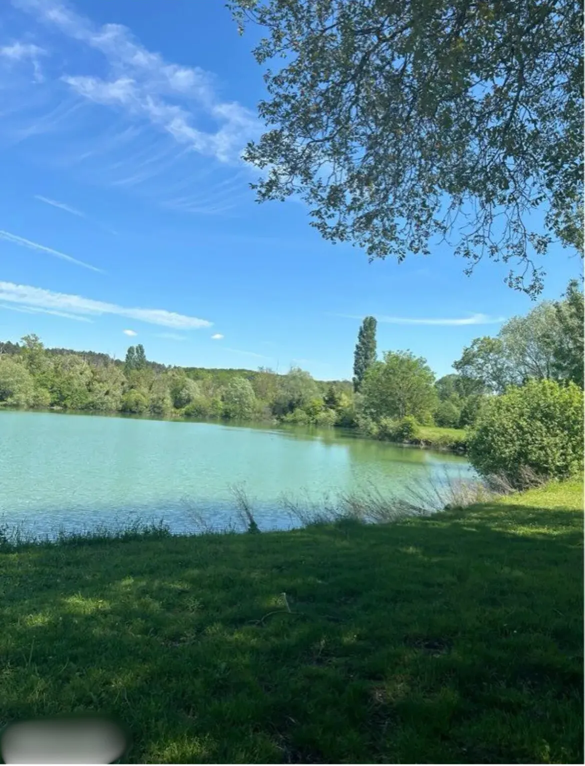 Étang de pêche privé – Carpes/Brochets/Black Bass – Région Grand Est