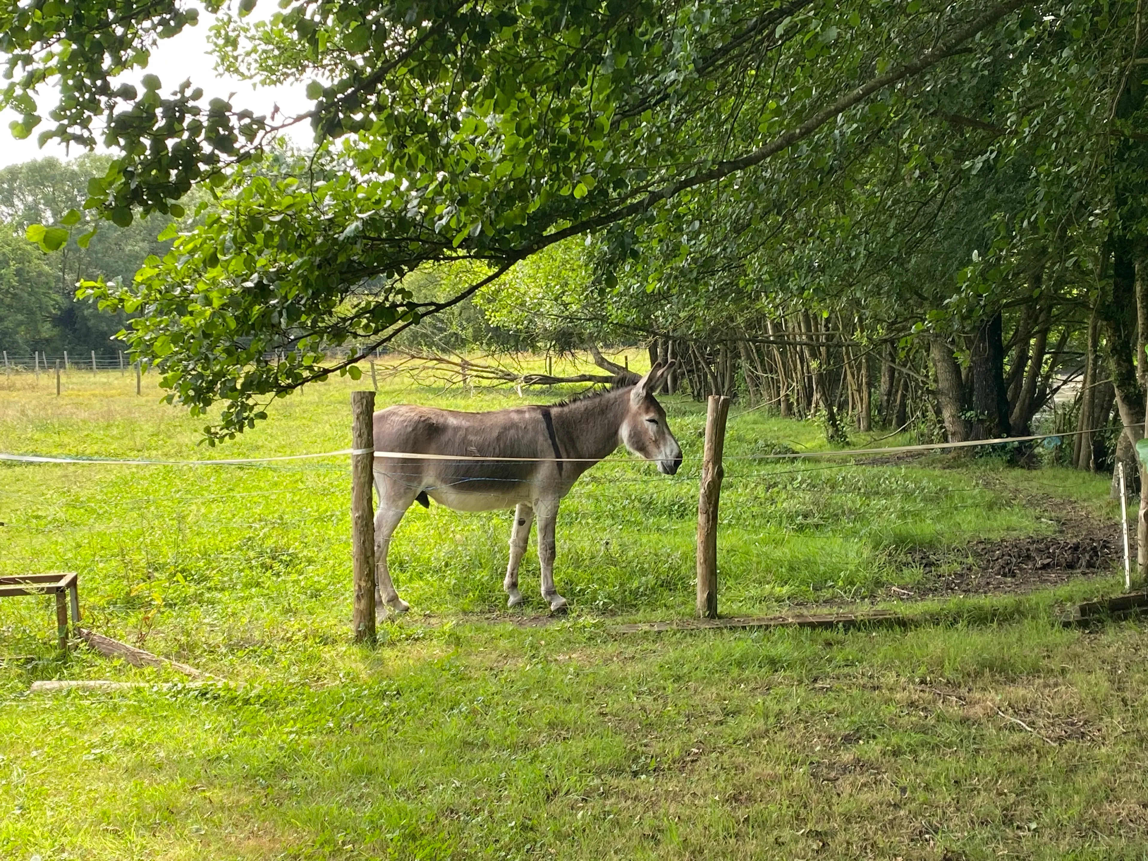 Etang à louer pour les vacances avec son mobil home dans le département de Maine-et-Loire