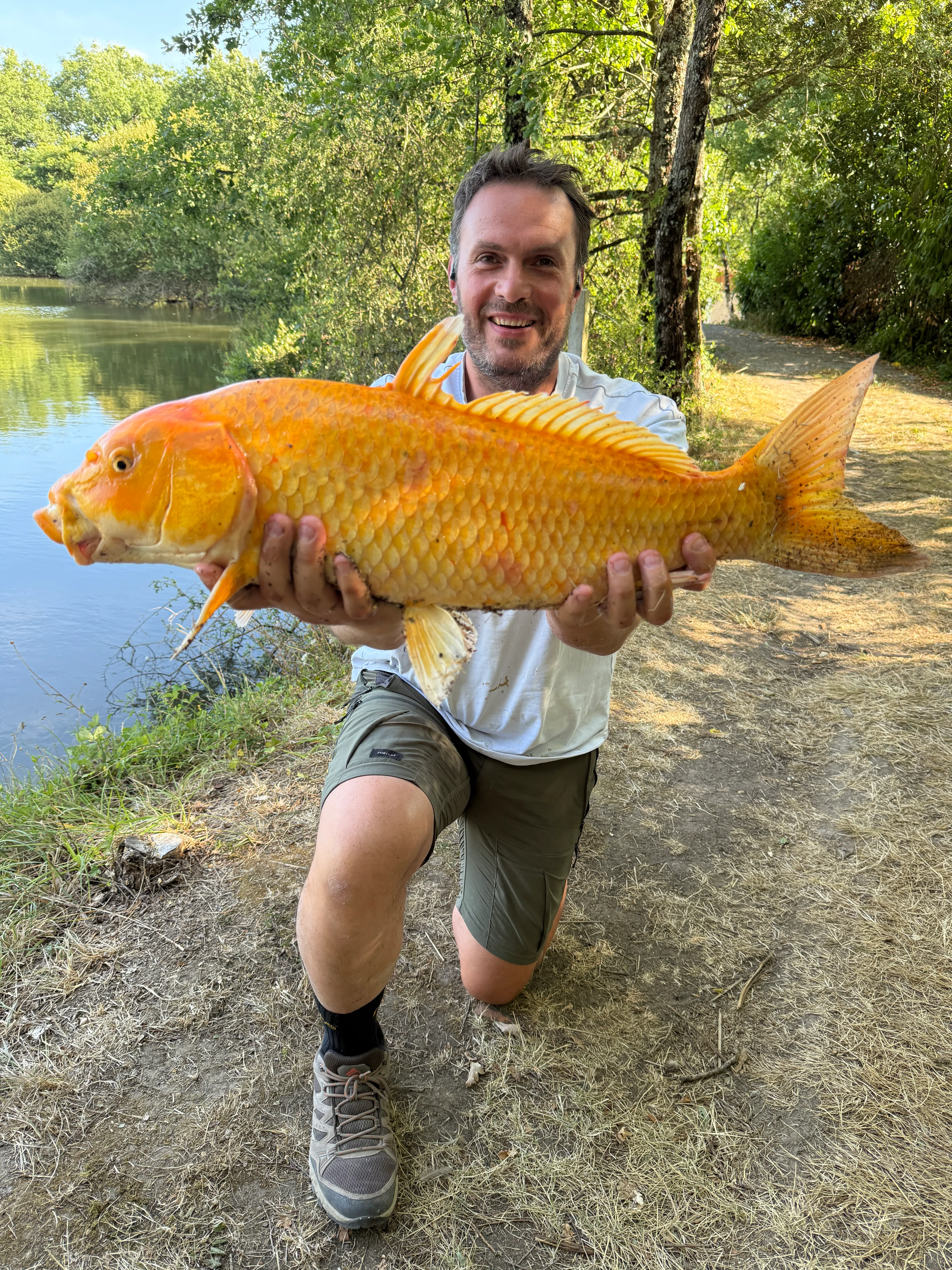Trois étangs avec son chalet en Nouvelle-Aquitaine