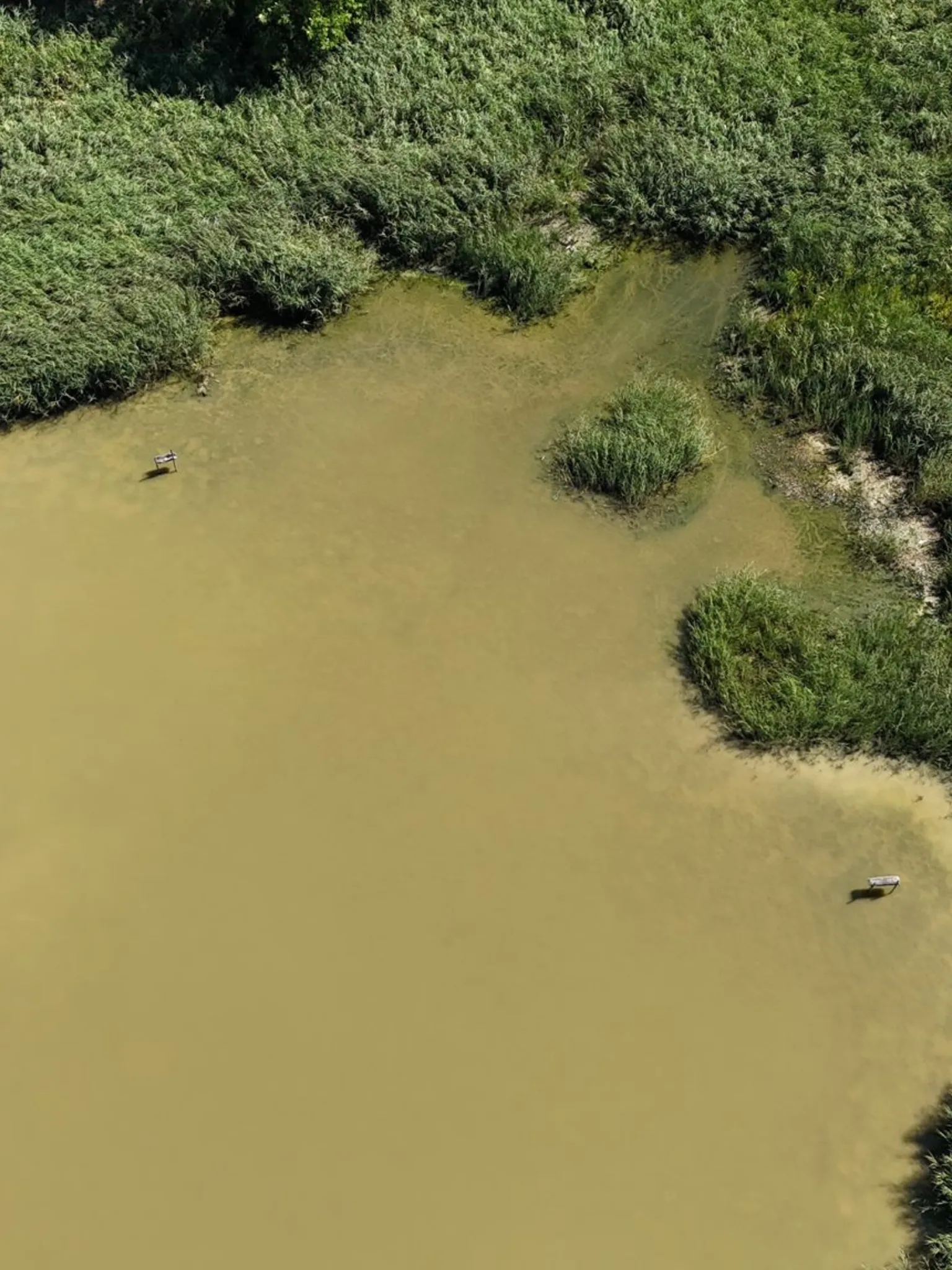 Location étang de pêche 15 ha + un étang 1 ha dans le parc privé d'un château