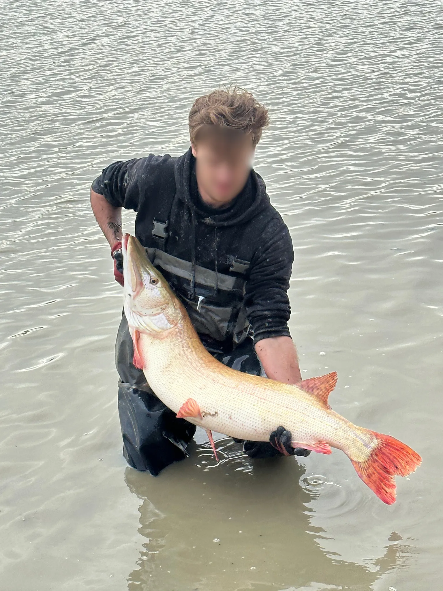 Location étang de pêche 15 ha + un étang 1 ha dans le parc privé d'un château
