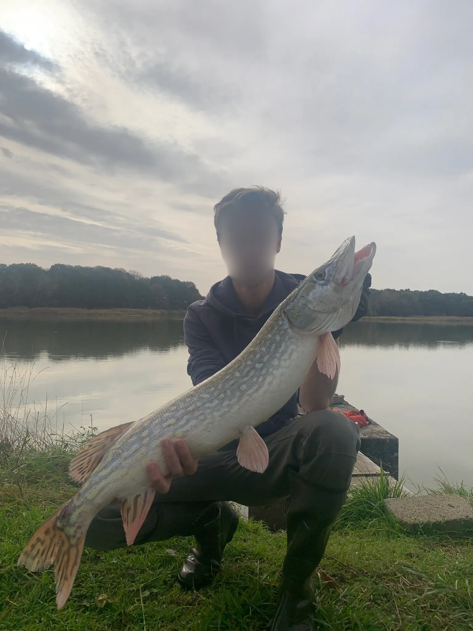 Location étang de pêche 15 ha + un étang 1 ha dans le parc privé d'un château