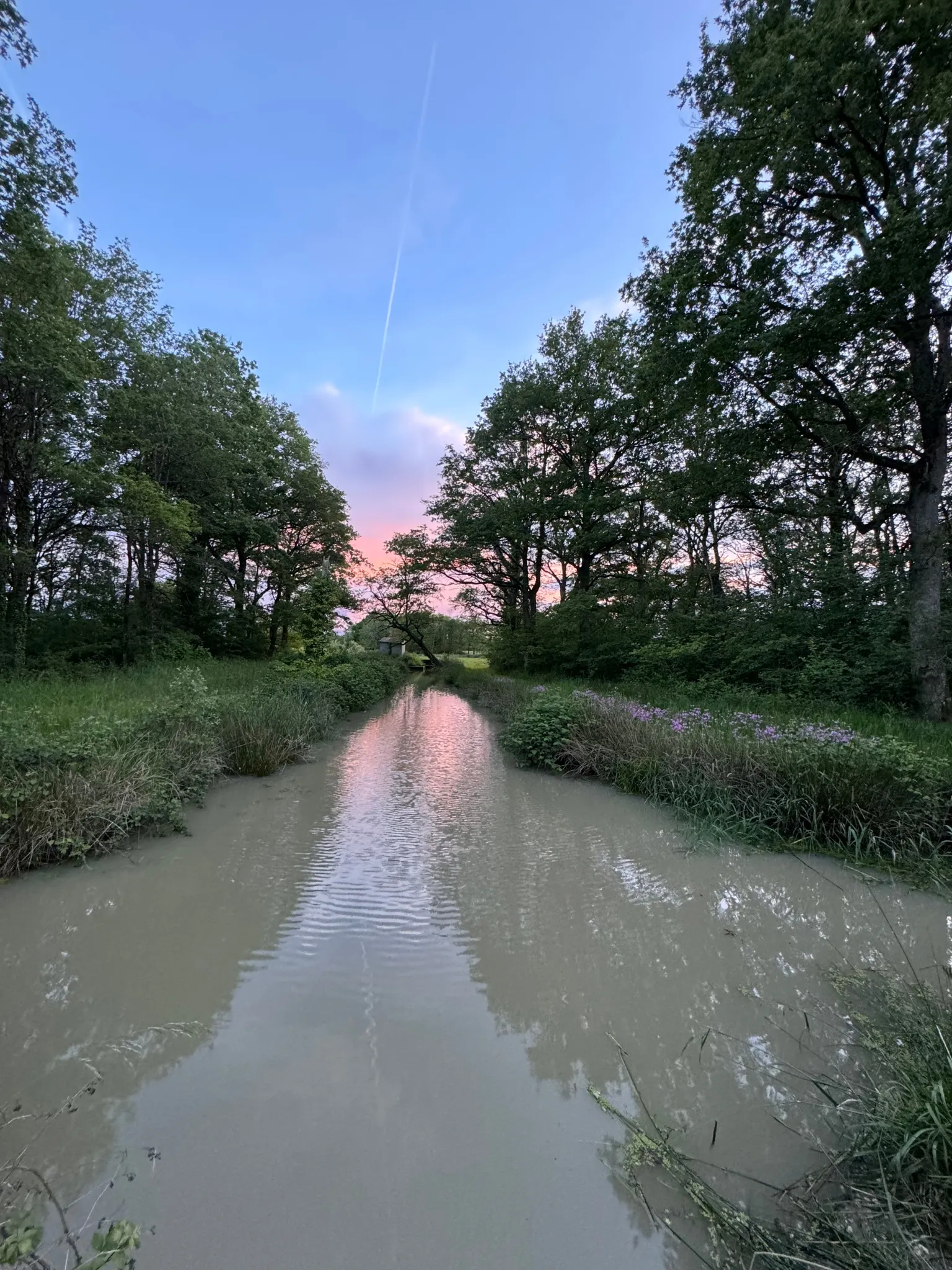 Location étang de pêche 15 ha + un étang 1 ha dans le parc privé d'un château