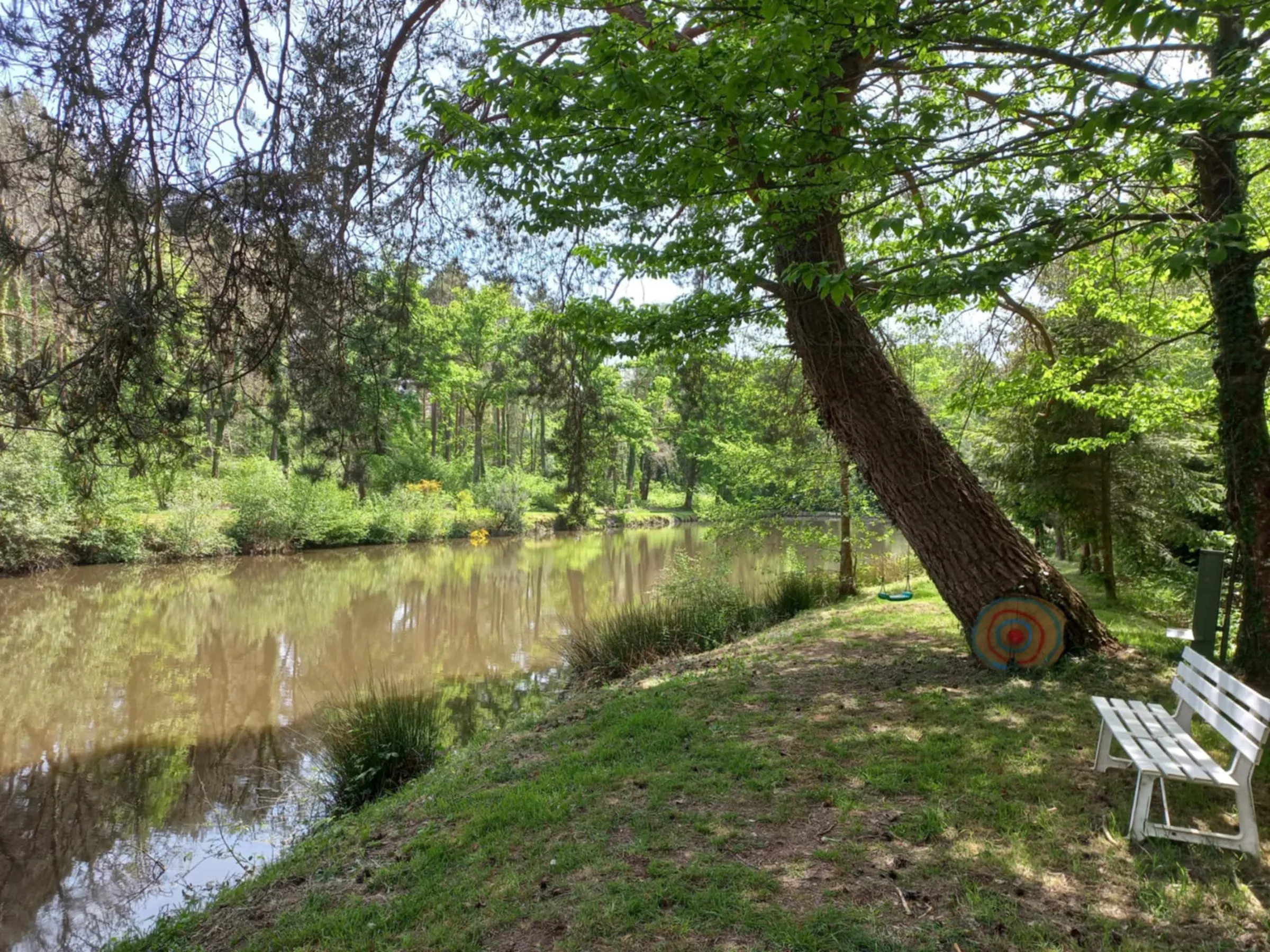 Terrain de loisir avec étang au calme pleine foret