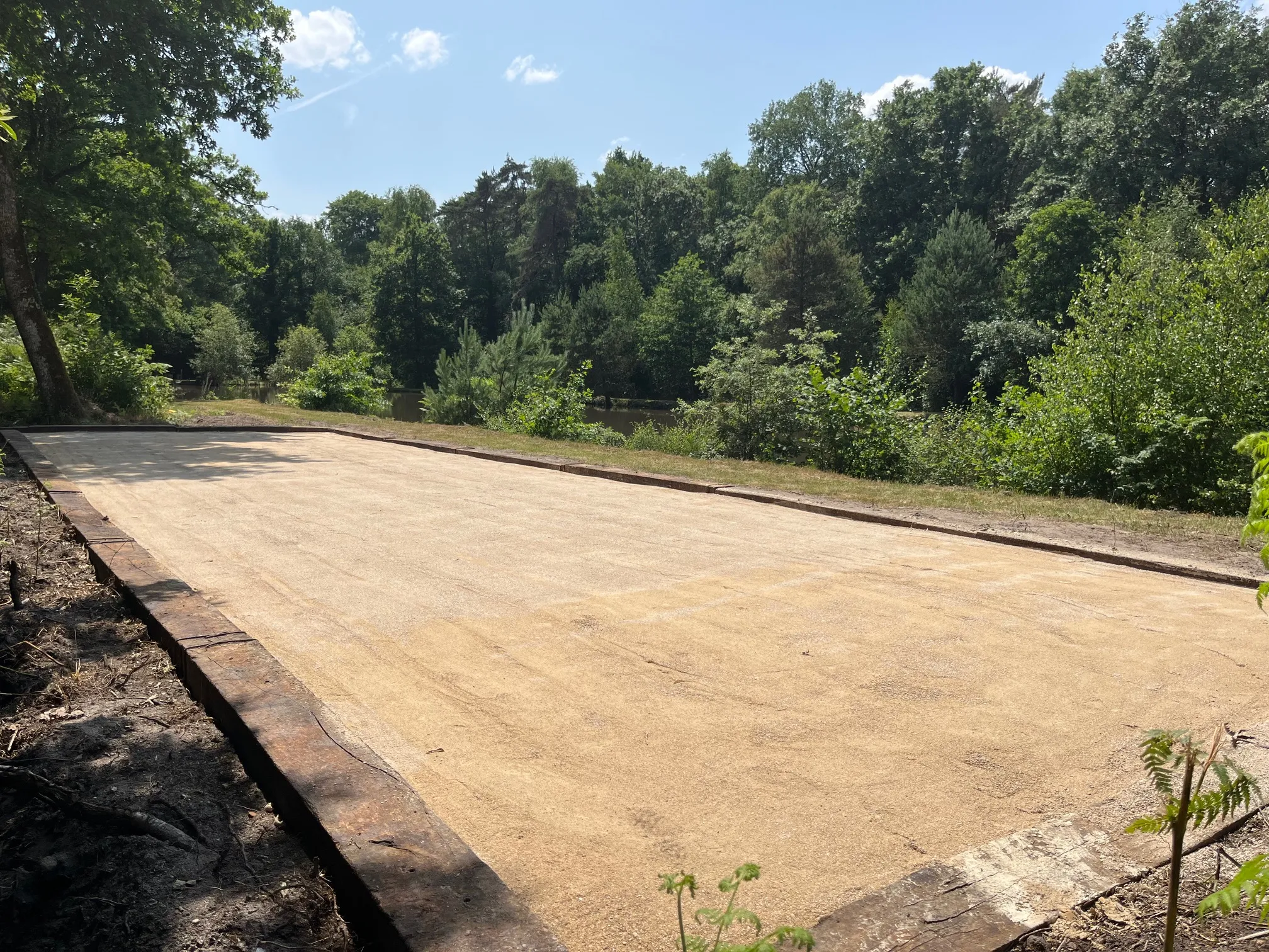 Terrain de loisir avec étang au calme pleine foret