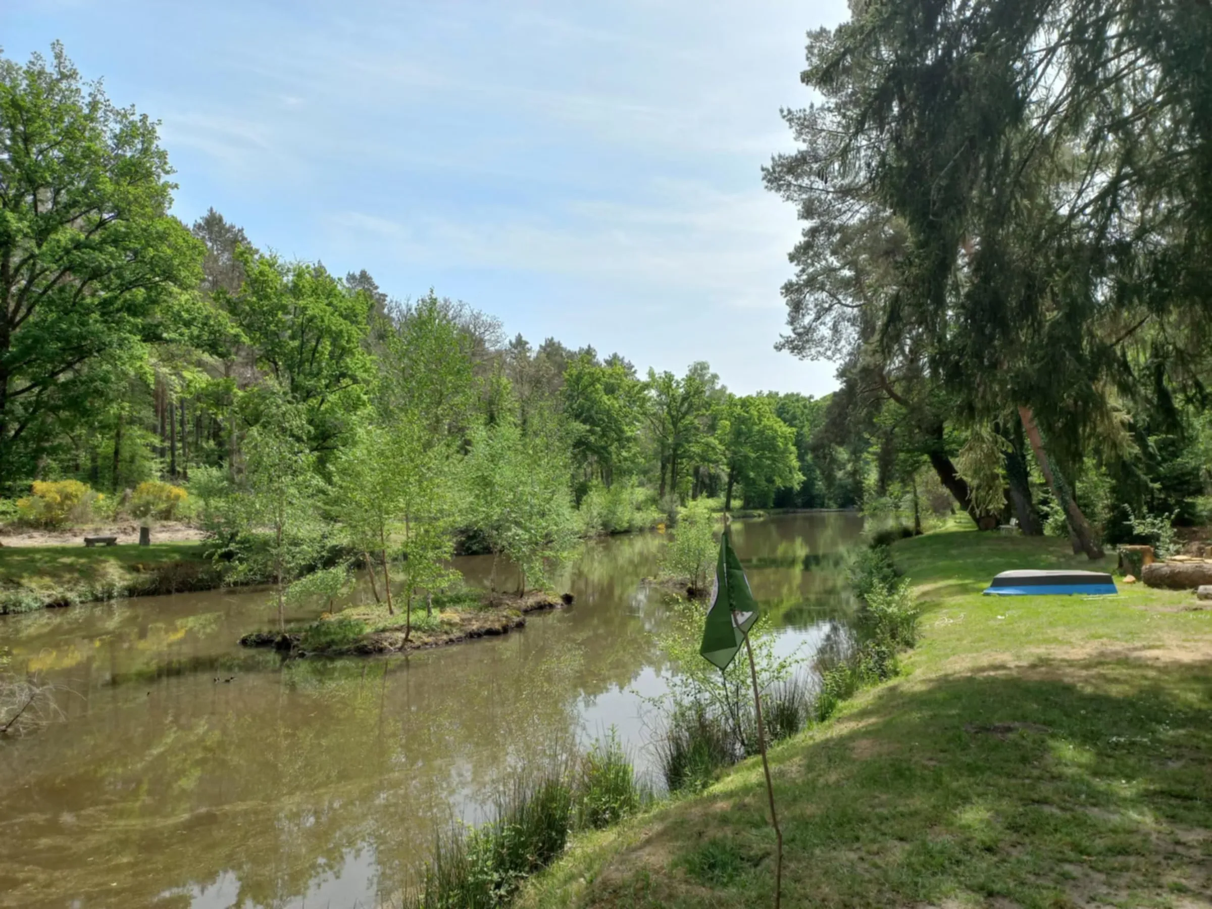 Terrain de loisir avec étang au calme pleine foret