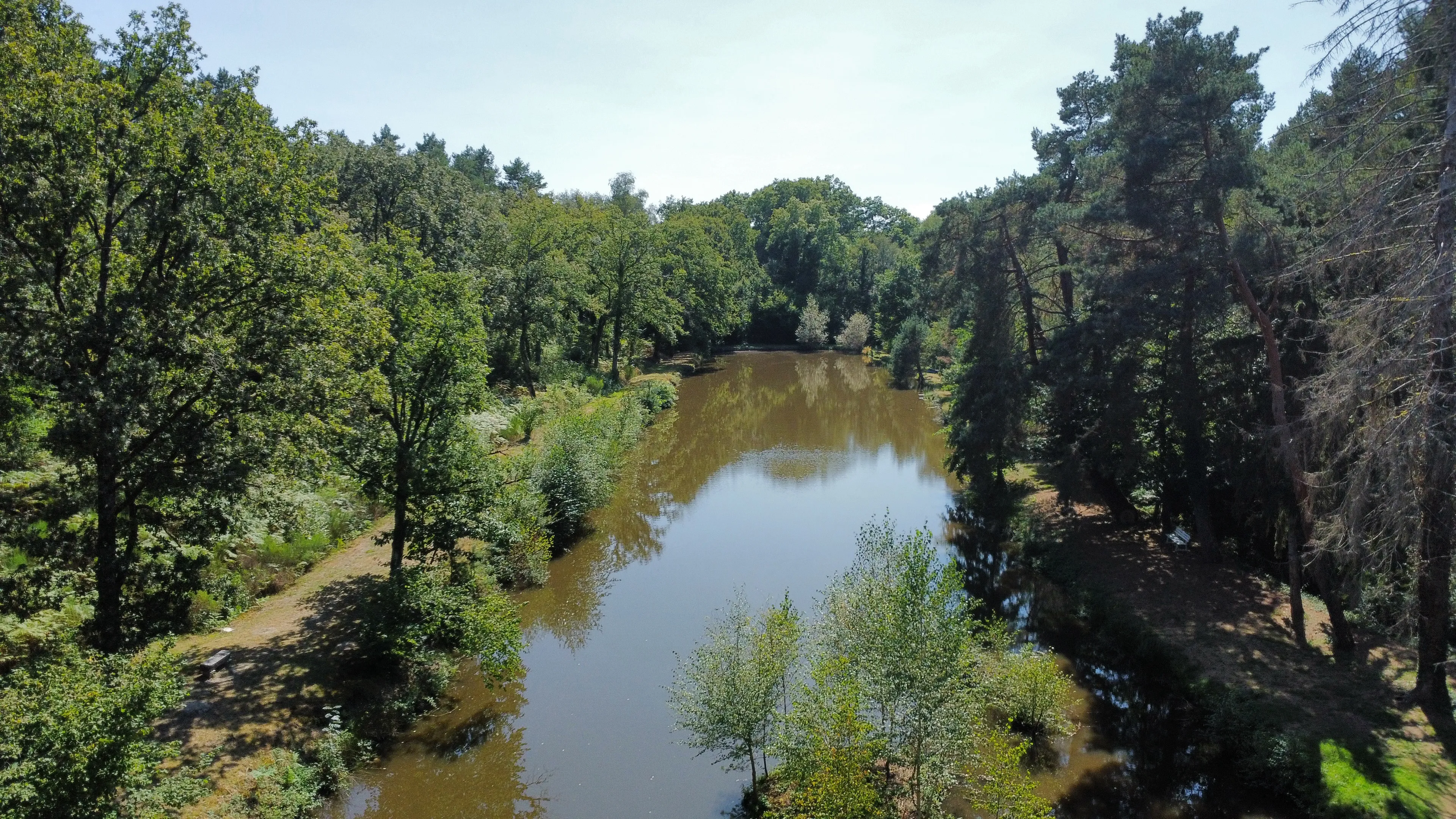Terrain de loisir avec étang au calme pleine foret