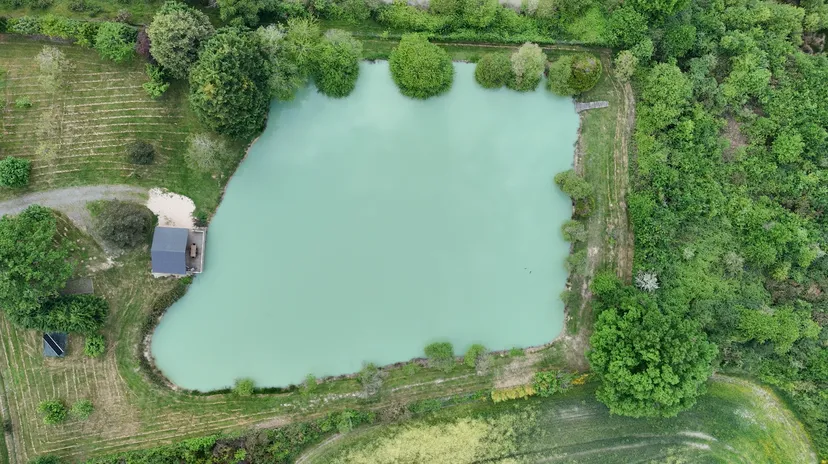 Rent a private pond with chalet and a terrace suspended on the water