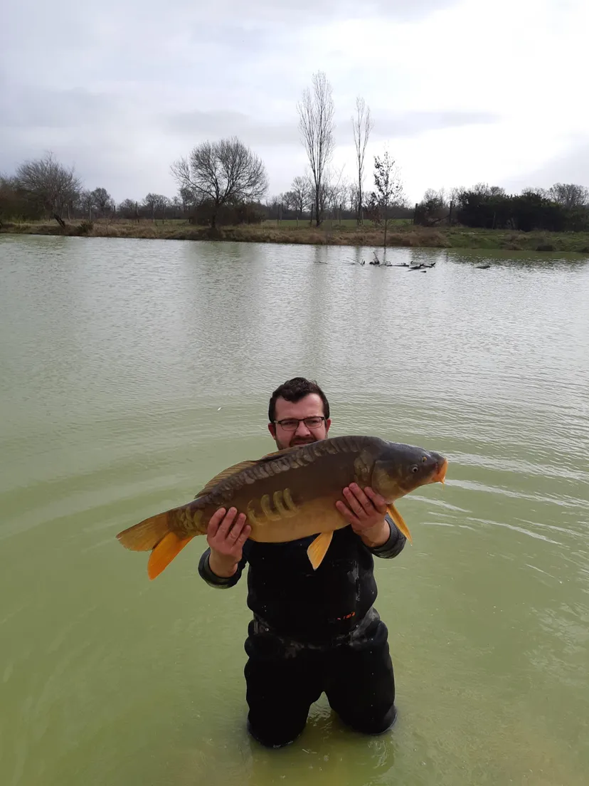 Rent a private pond with chalet and a terrace suspended on the water