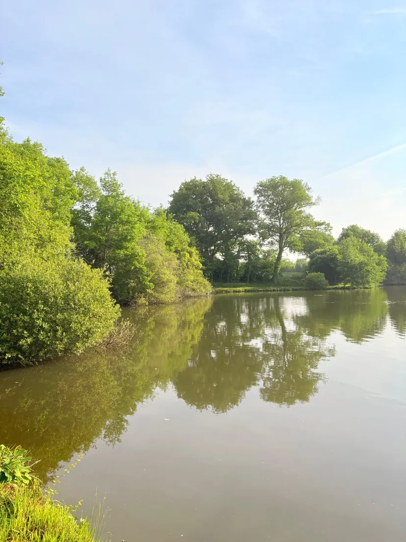 Three ponds with cottage in Nouvelle-Aquitaine