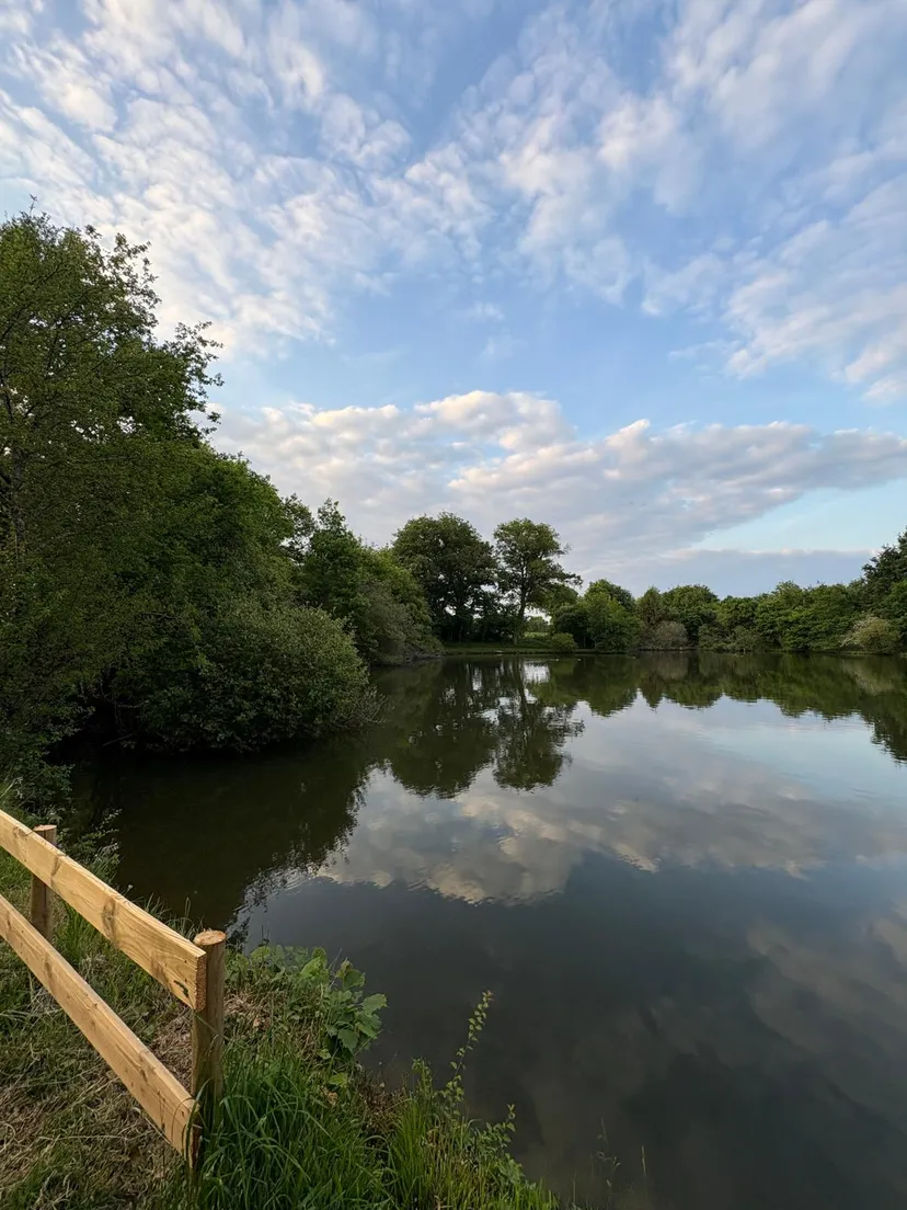 Three ponds with cottage in Nouvelle-Aquitaine