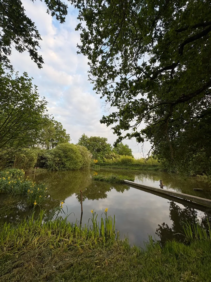 Three ponds with cottage in Nouvelle-Aquitaine