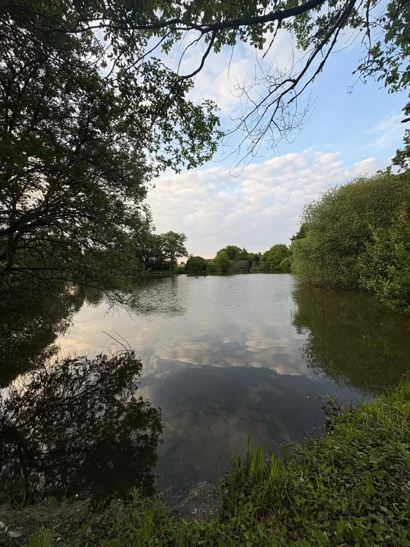 Three ponds with cottage in Nouvelle-Aquitaine
