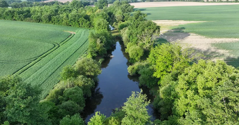 Three ponds with cottage in Nouvelle-Aquitaine