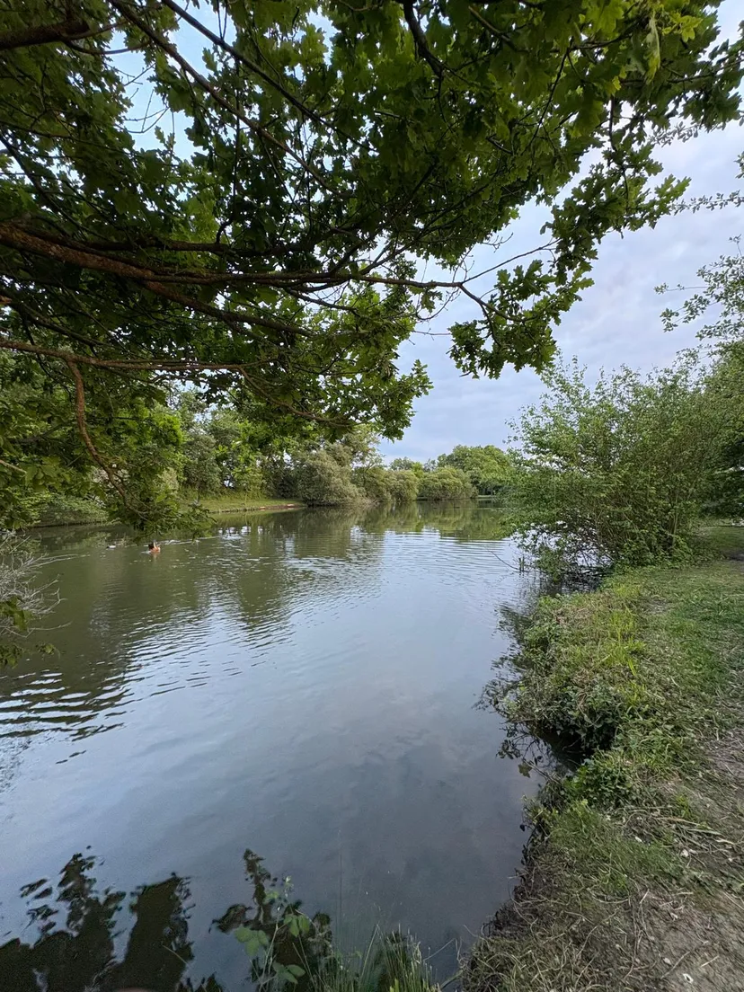 Three ponds with cottage in Nouvelle-Aquitaine