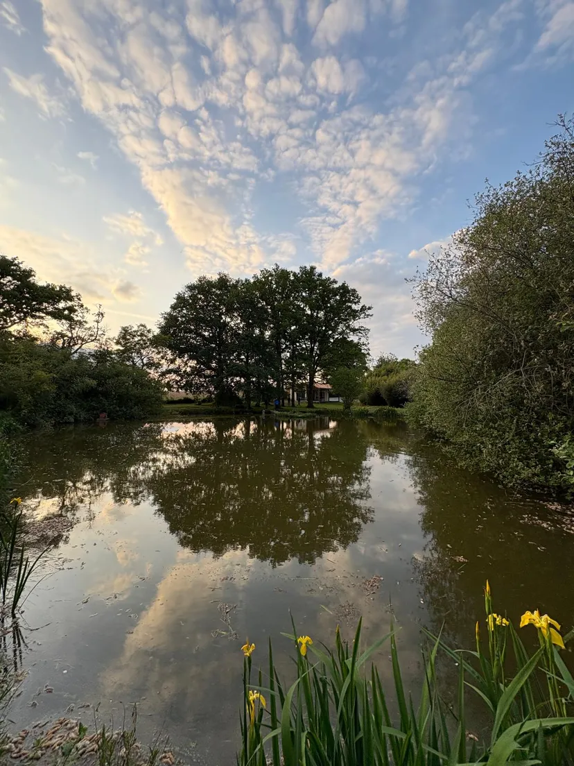 Three ponds with cottage in Nouvelle-Aquitaine