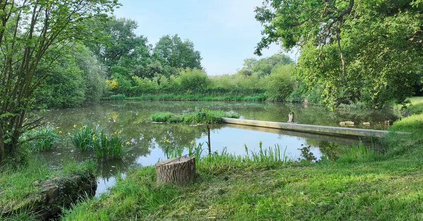 Three ponds with cottage in Nouvelle-Aquitaine