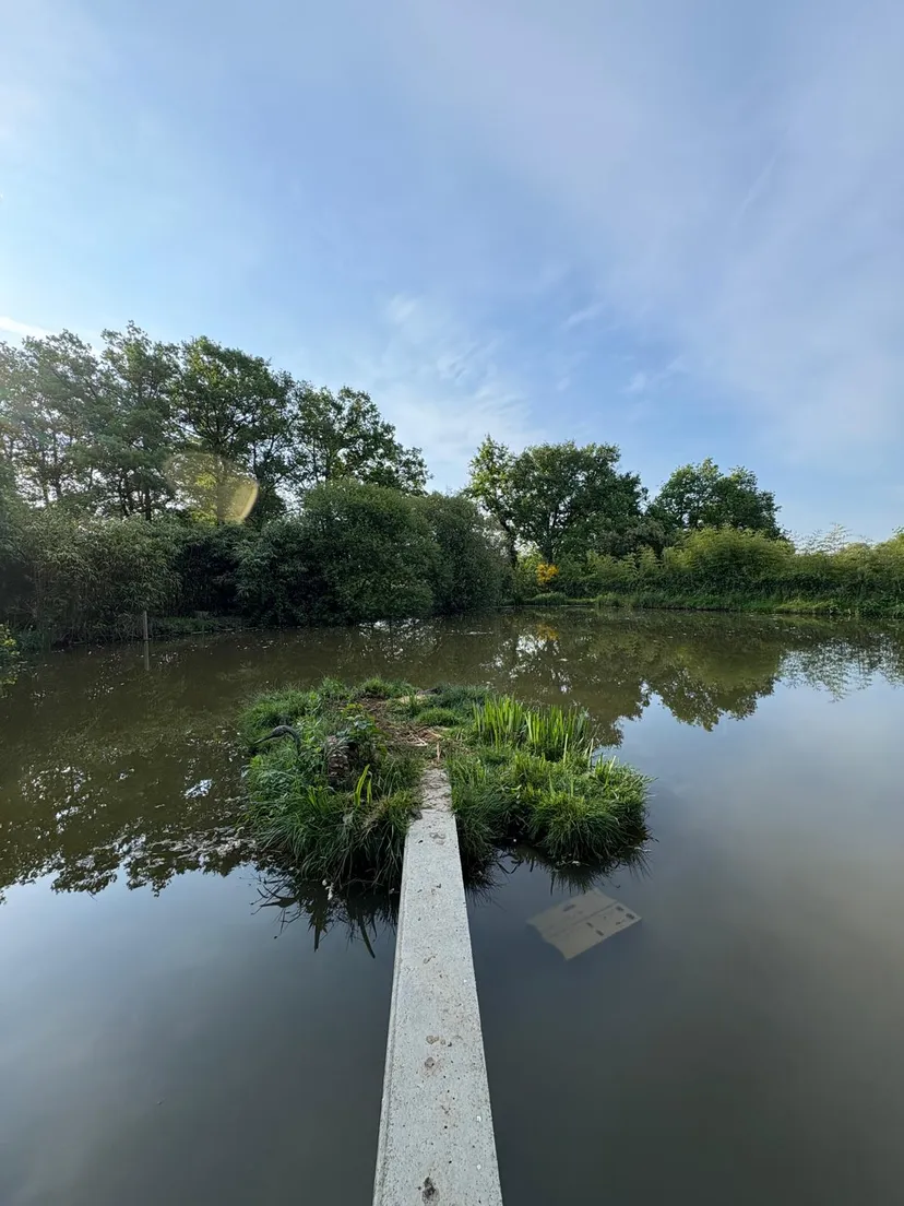 Three ponds with cottage in Nouvelle-Aquitaine