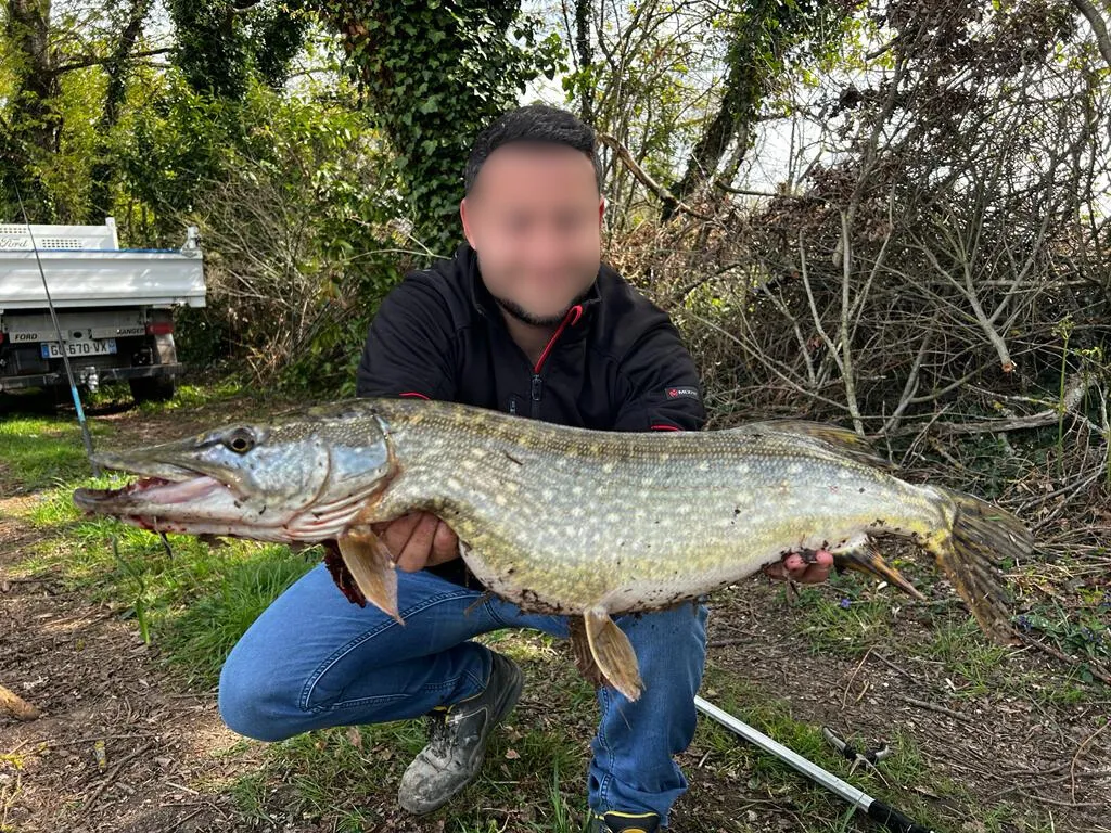Etang avec son chalet en Nouvelle-Aquitaine