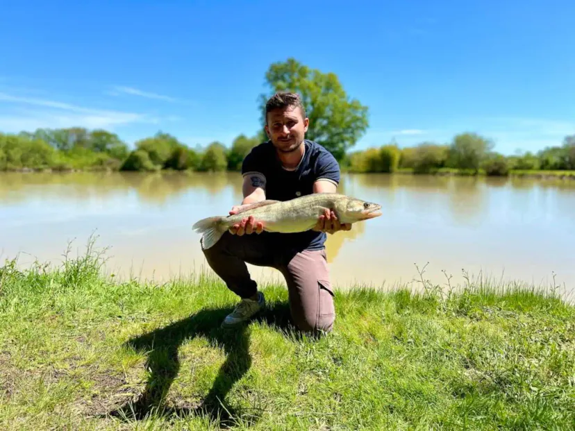 Rent a private pond with chalet and a terrace suspended on the water
