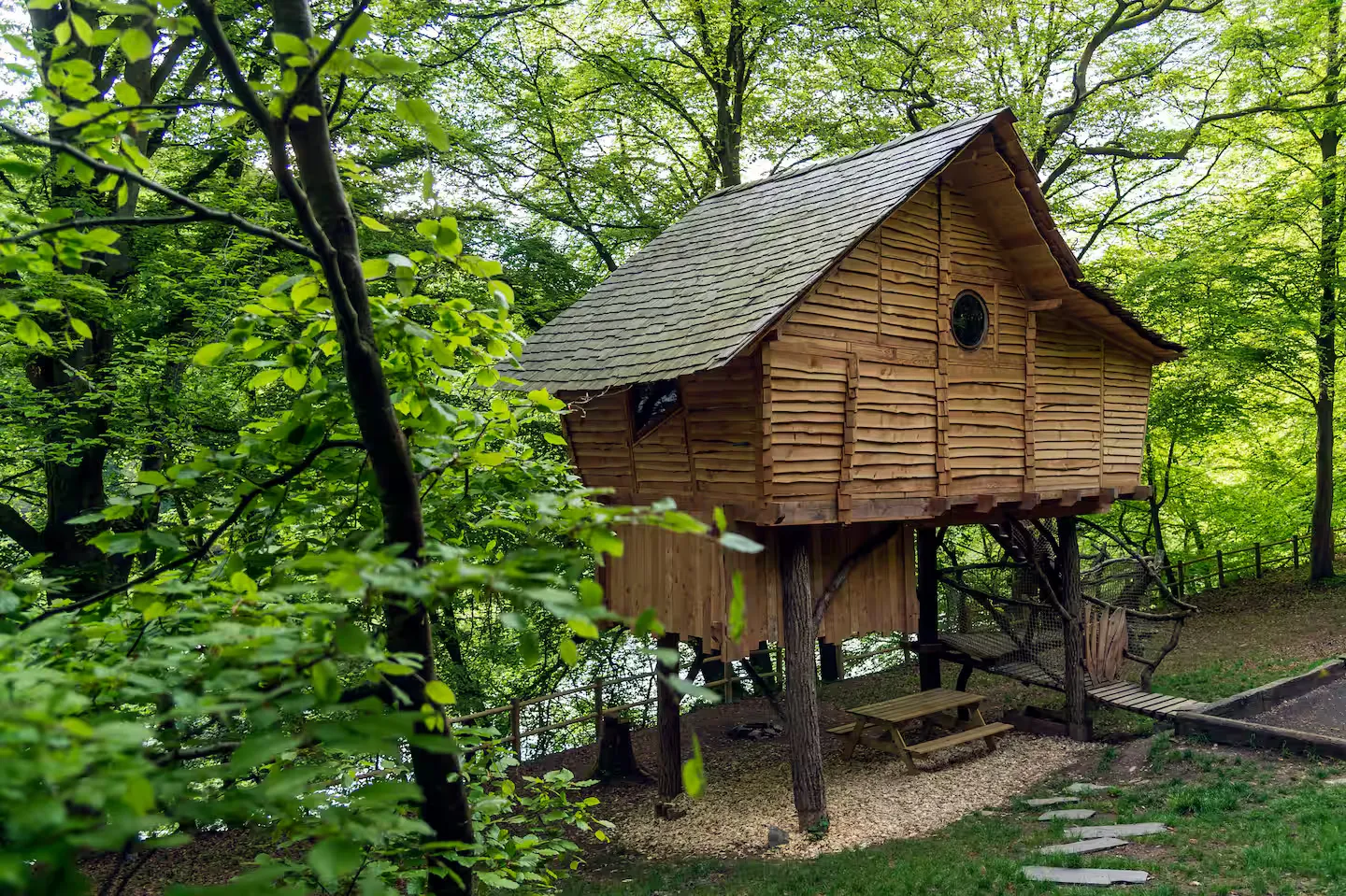 Maginifique cabane nichée dans les arbres au bord de la rivière