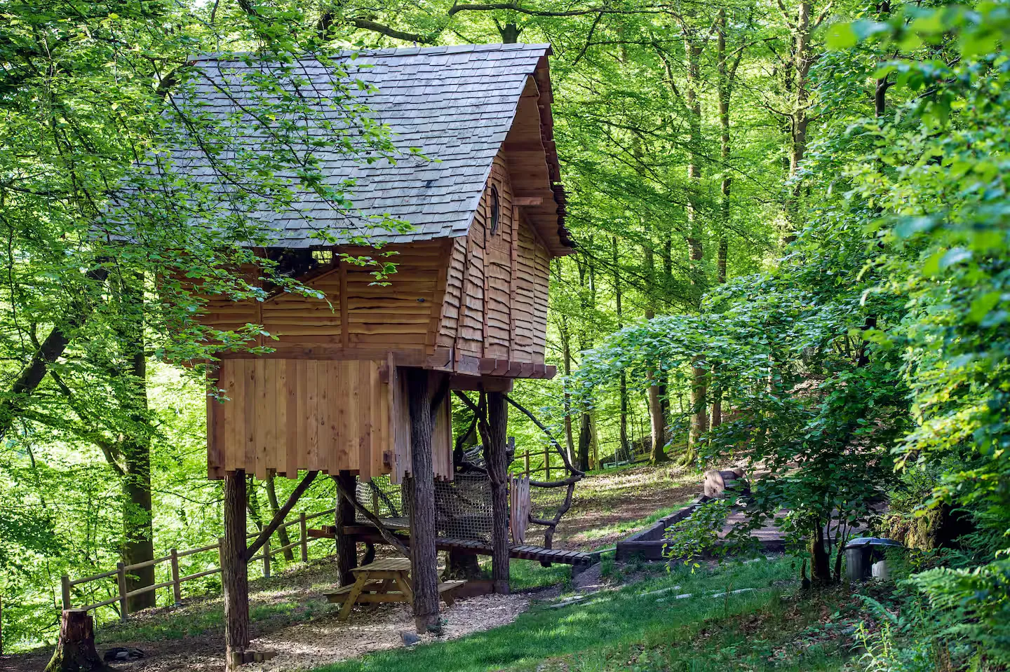 Maginifique cabane nichée dans les arbres au bord de la rivière