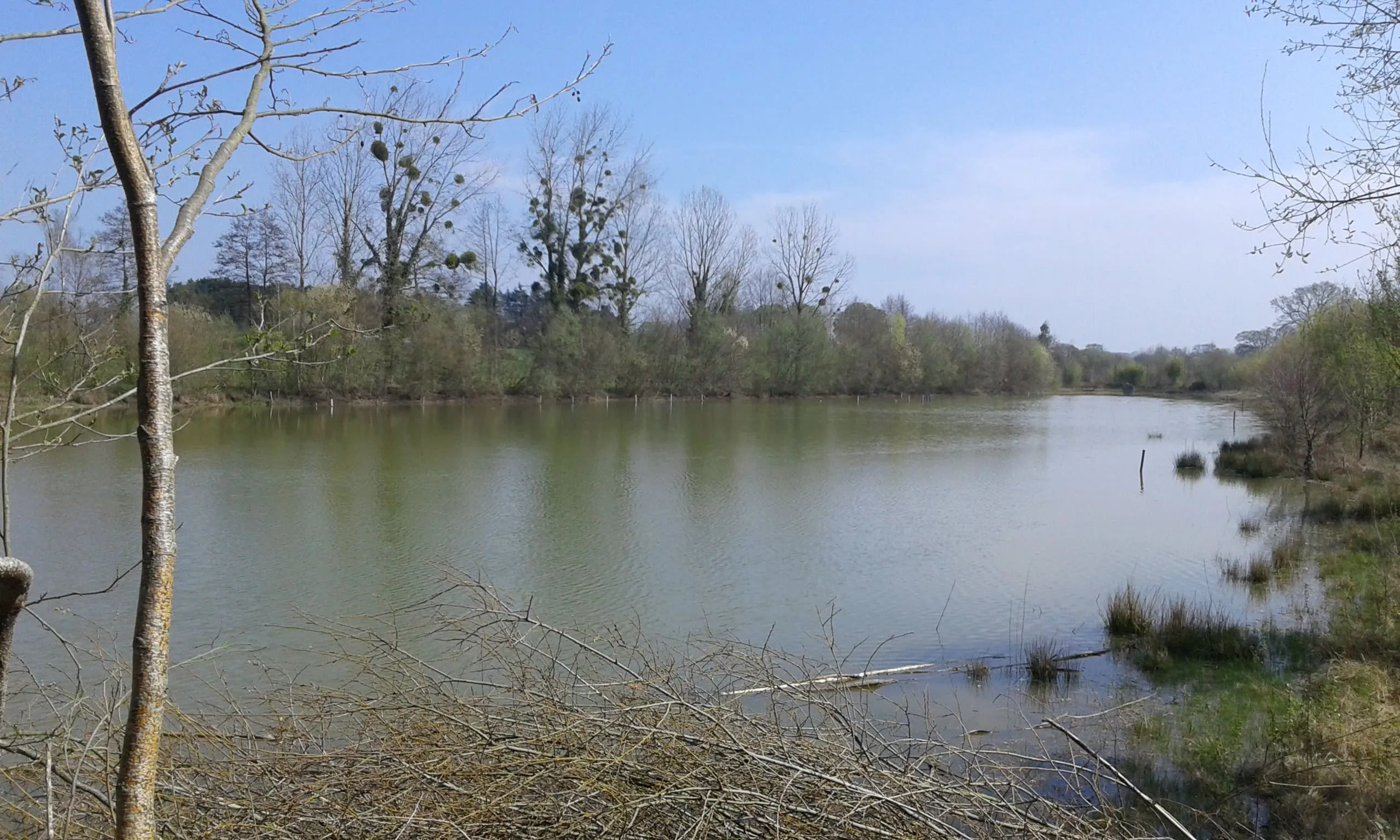 Étang de 2 hectares pour la pêche ou un moment de détente
