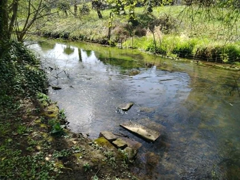 Rustic chalet at the edge of a 1.98 ac somme pond